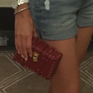BCBG Maxazria Mini Luggage Clutch