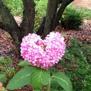 Meet your Posher, Janna