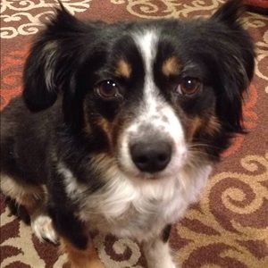 Meet your Posher, Bethany