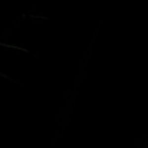 Meet your Posher, Daniella