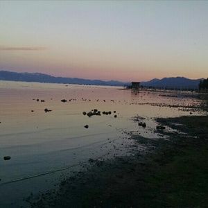 Meet your Posher, Sadie