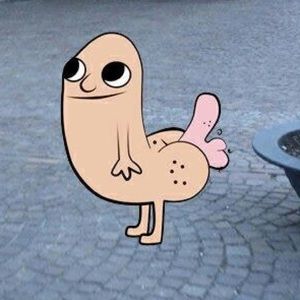 Meet your Posher, Jen