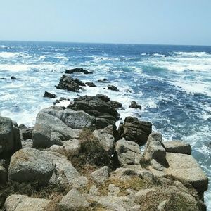 Meet your Posher, Veronica