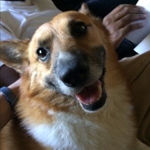 Meet your Posher, Andrea