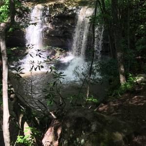 Meet your Posher, Debi