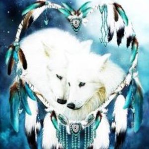 Meet your Posher, Staci