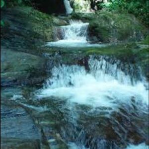 Meet your Posher, Kristi