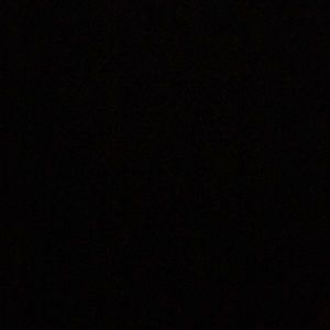 Meet your Posher, Nina