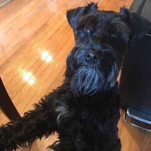 Meet your Posher, Kristy