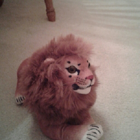 Meet your Posher, Cordell - Picture 2 of 2