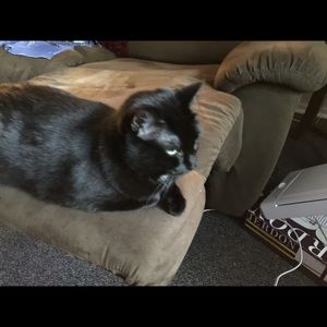 Meet your Posher, Laurel