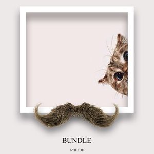 Bundle