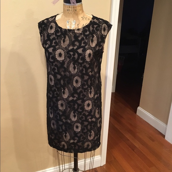 Loft dress 6p