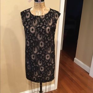 Loft dress 6p