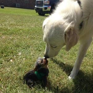 Meet your Posher, Tallie