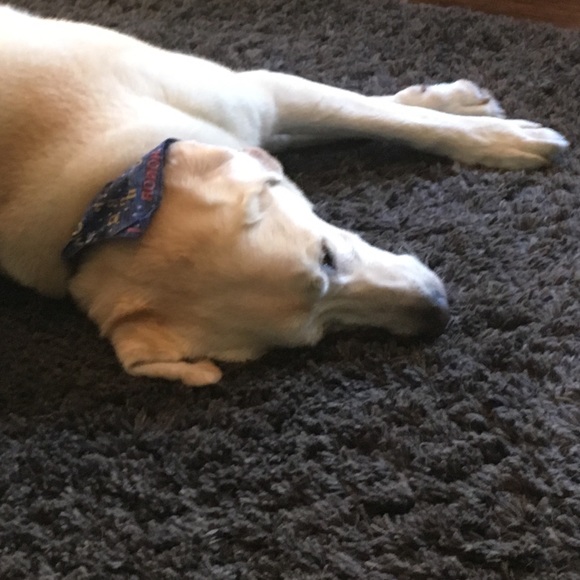 Meet your Posher, Margie - Picture 1 of 1