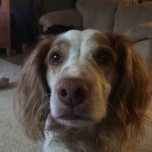 Meet your Posher, Kaija