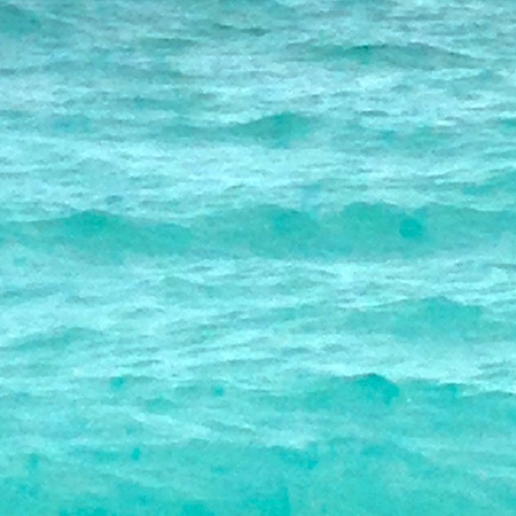 Meet your Posher, Claire - Picture 1 of 1