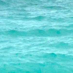 Meet your Posher, Claire