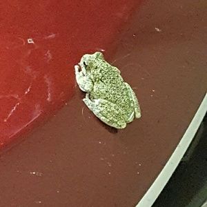 Meet your Posher, Kari