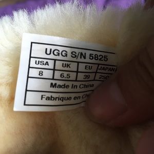 UGG Shoes - Mid-Calf Uggs UGG Shoes - Mid-Calf Uggs