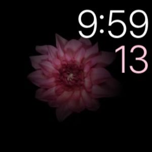 Meet your Posher, Norma