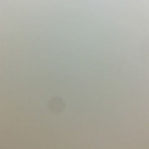 Meet your Posher, Shanique