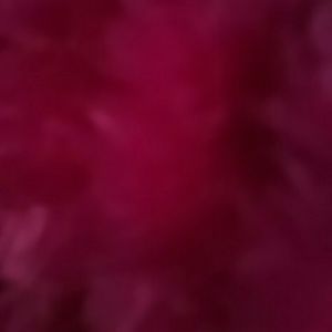 Meet your Posher, Kierra