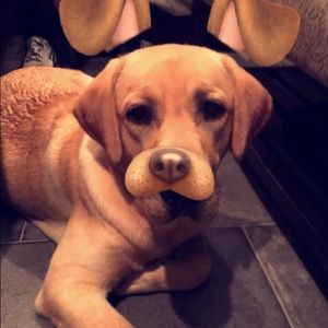 Meet your Posher, Zoe