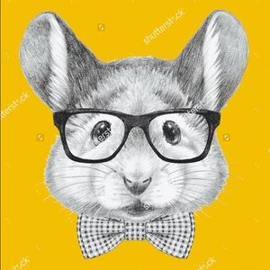 Meet your Posher, Brandon