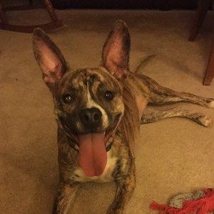 Meet your Posher, Erica