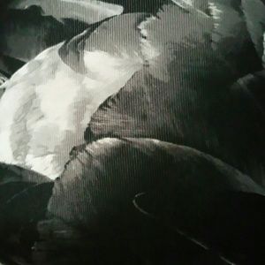 Meet your Posher, Cassandra