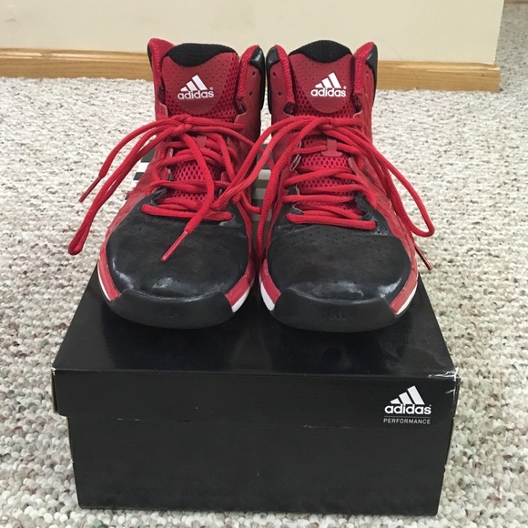 D Rose 773 II - Picture 1 of 4