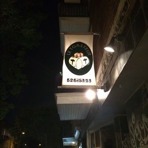 Meet your Posher, Bryn