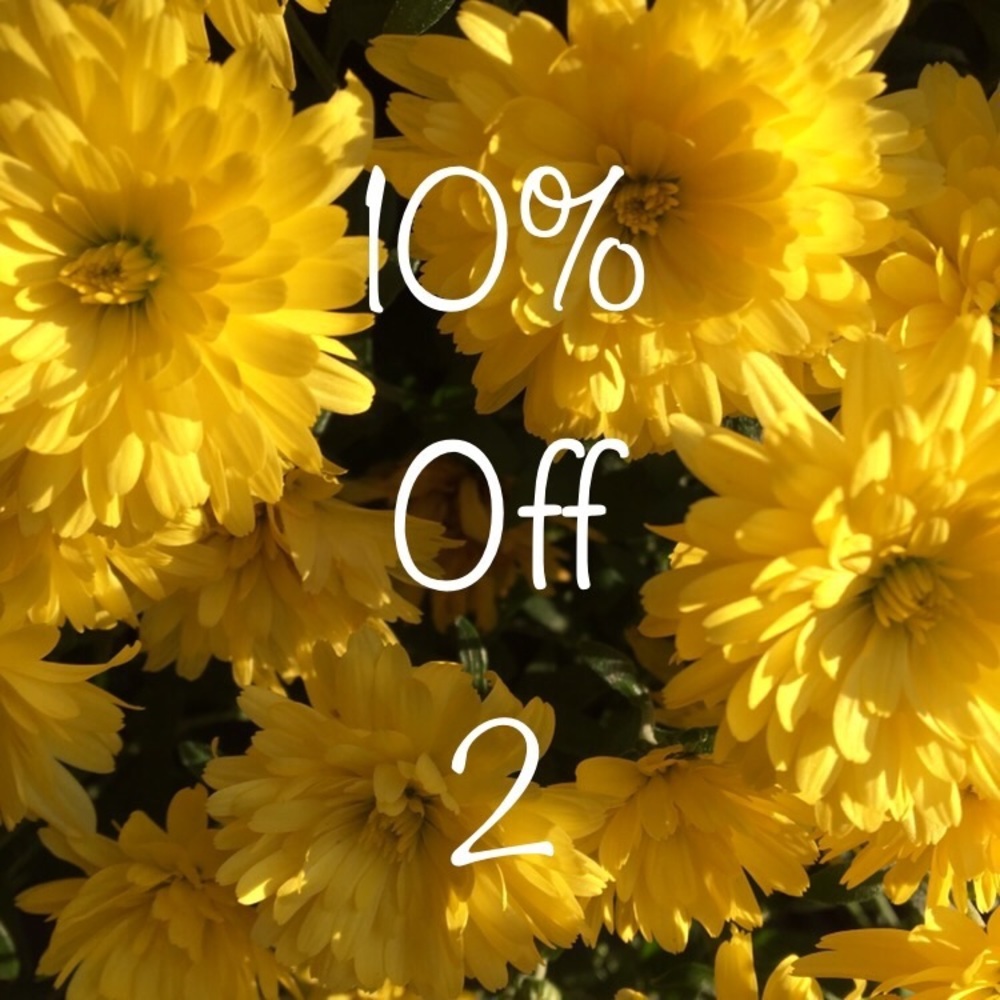 10% off bundles of 2 or more!