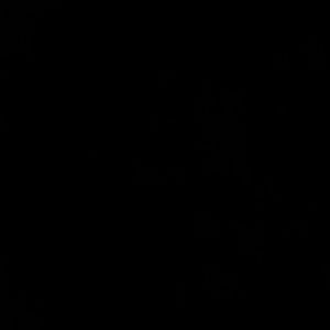 Meet your Posher, Gracee