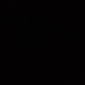 Meet your Posher, Maisy