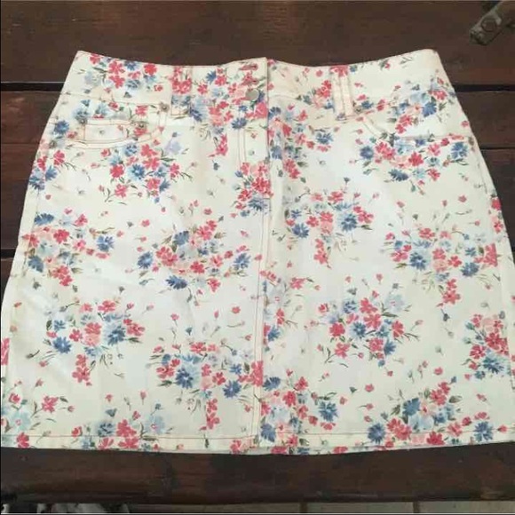 Ann Taylor Loft skirt