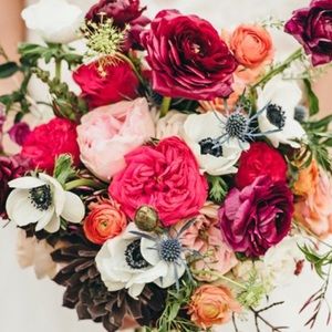 Meet your Posher, Veronica