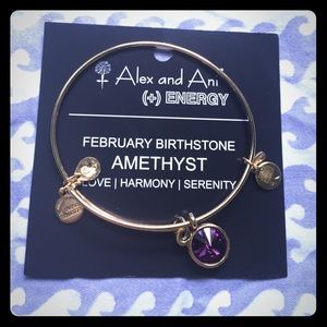Alex & Ani Gold Amethyst Birthstone Bangle