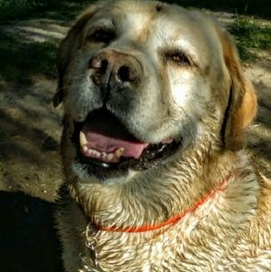 Meet your Posher, Nonya