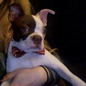 Meet your Posher, Roberta