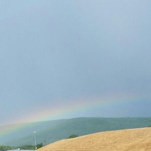 Meet your Posher, Jodi