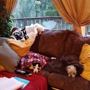 Meet your Posher, Stacy