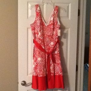 Dress Barn Dress Size 16 NWT