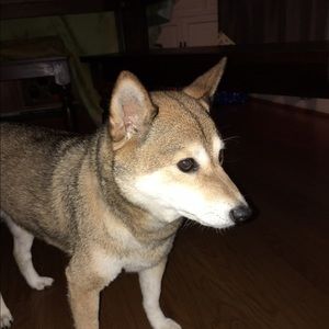 Meet your Posher, Chi