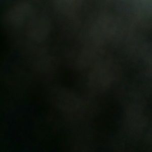 Meet your Posher, Daisy