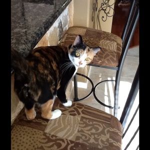 Meet your Posher, Rachael