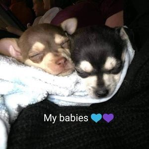 Meet your Posher, Kelcie