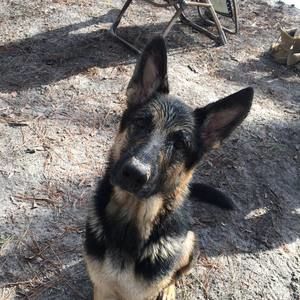 Meet your Posher, Shanna